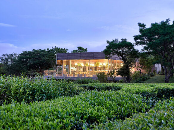 Innisfree lists green tea farms in Korea’s Jeju island on Airbnb