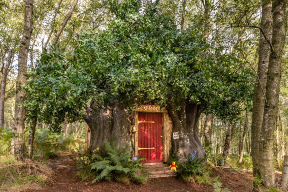 A House Fit for Disney’s Winnie the Pooh in the Original Hundred Acre Wood bookable on Airbnb