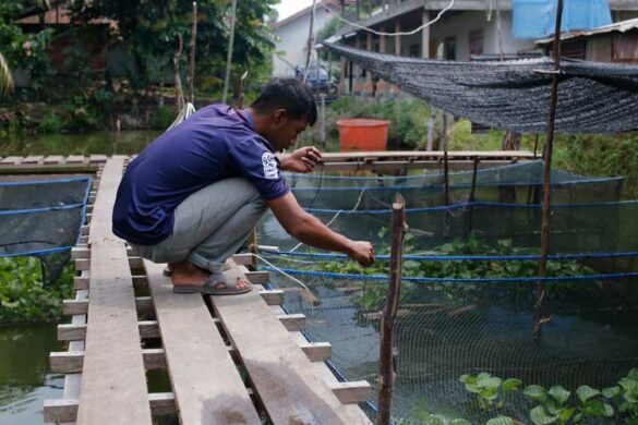 Protecting Peatlands with Sustainable Swamp Fishing