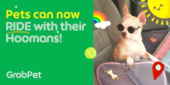 ICYMI Grab reintroduces GrabPet, delights Filipino pet parents