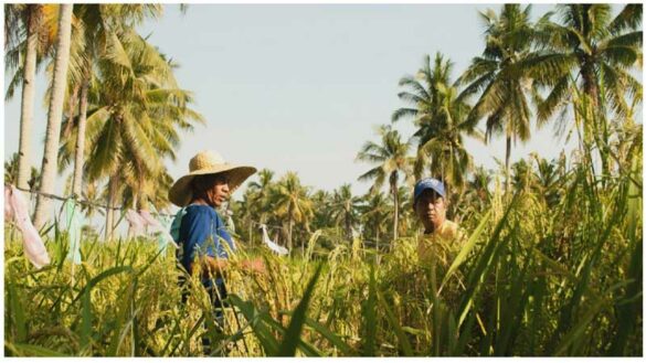 Through Typhoons and Floods The Bayanihan Spirit Between  Filipino Farmers and Monash University