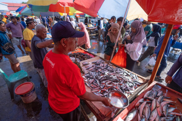 Continuation of Telkomsel and ZTE strategic collaboration in innovative maritime sector 5G implementation increases fishing yield in Gorontalo by 11%