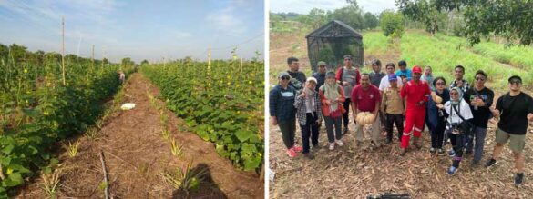 Peatlands Under Pressure The Resilient Farmers Paving the Way for Sustainable Agriculture